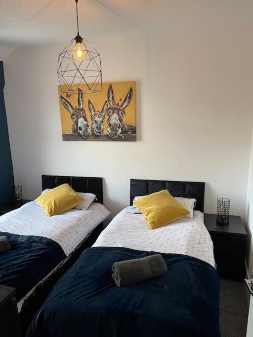 Luxury Accommodation. *
