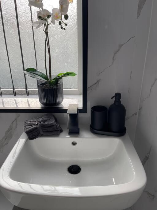 Luxury Accommodation. Apartment